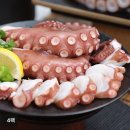 문어랑 - 강릉시 해안로 1713 | 문어랑