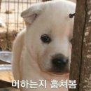 배럴스트렝스 이미지