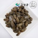 동성냉동