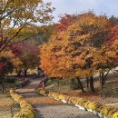 치즈마을 이미지