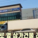 양지-17 이미지