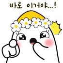 금오산로 이미지