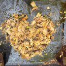 바른부동산중개K | [김해 주촌 맛집] 우삼겹 산더미 이벤트 중! 고기 질 최고인 ‘바른대패’ 내돈내산 솔직 후기 🥓🥗