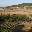 송평농장 이미지