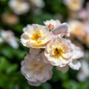 먹골역7번출구 이미지