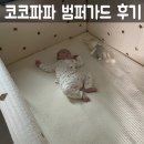 하도파파 네이버블로그