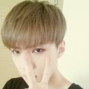 슈보 이미지