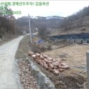 다복1리 경로당 이미지