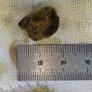 태백동물병원 이미지