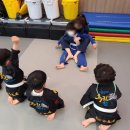 용인대 특전 합기도 이미지