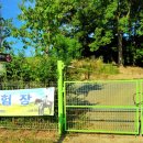 충의공 엄흥도 역사탐방로 이미지