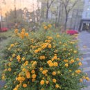 옛날팥죽 | 기아 레이 솔직후기, 옹고집옛날팥죽