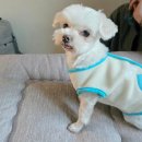 허그미동물병원 이미지