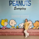 대천환승정류장 | 제주도 동쪽 코스 가볼만한곳 스누피가든 후기 할인 관람정보 뚜벅이여행 가는 법