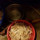 부림농장 이미지