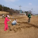 안양농장 이미지