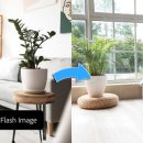 하모나이즈 이미지