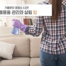 이제는 우리가 대청소 할 시간 ♪ 여름 용품 관리 방법과 청소 방법을 살펴볼까? 이미지