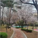 판교푸르지오공인중개사사무소 | 내 집 마련 꿈, 판교푸르지오그랑블과 함께! 봇들마을부터 알파리움까지 판교역 핵심 단지 완벽 정리