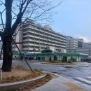 J1 미국 인턴 비자 대사관 인터뷰 상세 후기, 스크립트 공유 여자 졸업생 케이스 (그레이레터)