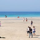 푸른 제주 이미지