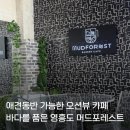 디저트맛집!오션뷰맛집!인천 영흥도 카페 <머드포레스트>방문 후기!(애견동반가능ฅ՞•ﻌ•՞ฅ)