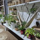 봉재농장 이미지