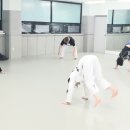 대한체육관 2도장(태권도) 이미지