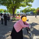 일산중식당 호수공원맛집 락희차이나 코스A 재방문 예약이용후기