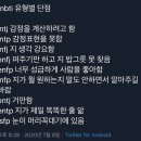 엔프피 이미지