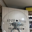 모풀리네일 이미지