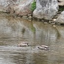 구로-공단-구로-52 이미지