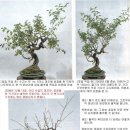 정언 이미지