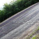 신성리 공룡발자국 이미지