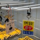 씨앤엠스토리