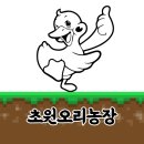 초원오리농장 네이버블로그