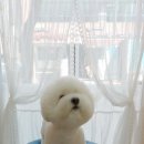 셀럽몽 이미지