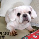 사랑으로 이미지