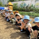 🧑🏻‍🌾감자캐는🥔 꼬마농부👩🏻‍🌾+굿네이버스아동힘키우기 이미지