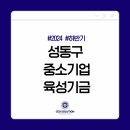 씨이오솔루션 이미지