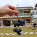 해오름자동차서비스 이미지