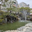 잠실여자고등학교 (내) 이미지