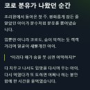 (유)초록환경 | 아이가 분유 먹다 토할 때, 다시 먹여야 할까? 육아 선배가 말하는 현실적인 판단 기준과 대처법