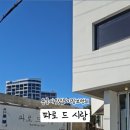파로드시랑 이미지