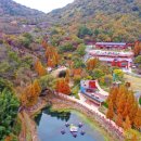 월아산 숲속의 진주(목공체험장) 이미지
