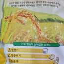 안계합동미곡종합처리장 | 맛있는쌀 흰쌀밥 의성진 영호진미 안계쌀 백미 추천