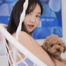 바두기펜션 이미지