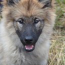 모현동물병원 이미지