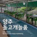 돌고개늘품 | 양주 장흥계곡 돌고개늘품 백숙 삼겹살 맛집 후기
