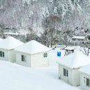 새하얀목장 이미지